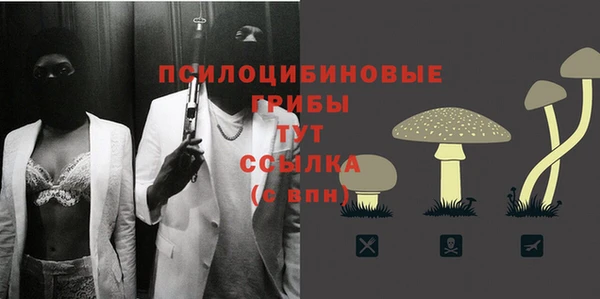 Альфа ПВП Няндома