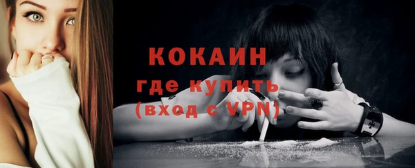 стаф Пестово
