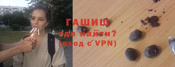 твердый Гатчина