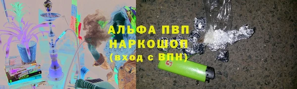 PSILOCYBIN Осинники